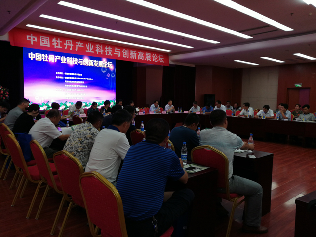 中国牡丹产业科技与创新发展论坛今日圆满举行