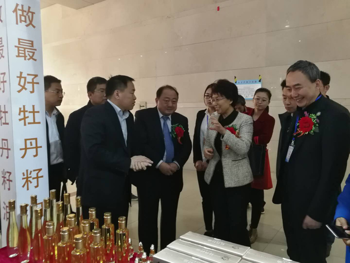 麟源牡丹筹备并参展2018中国（菏泽）牡丹产业博览会